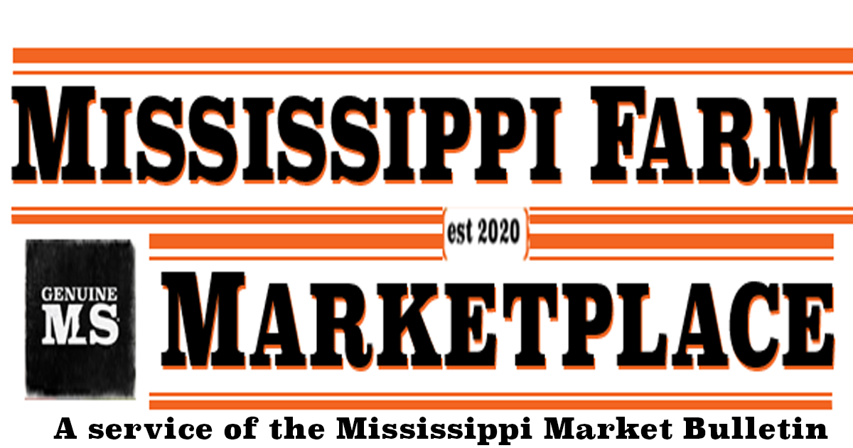 Welcome Market Portal
